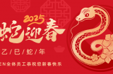 辭舊迎新，蛇舞華章丨深圳容金科技全體員工祝您新春快樂！